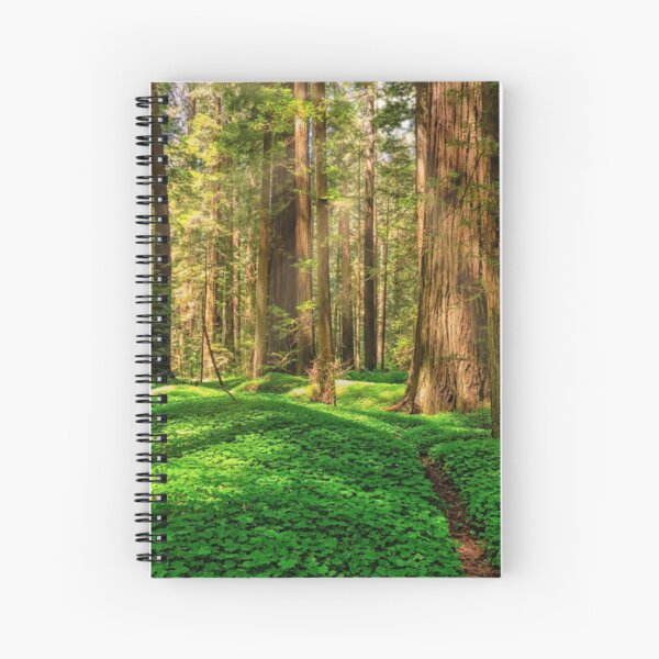 Redwood Forest Spiral Notebook