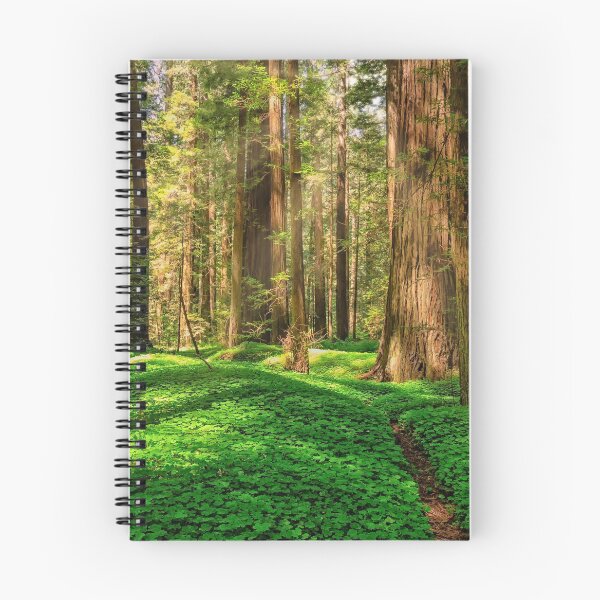 Item preview, Redwood Forest designed and sold by Jeffrey Schwartz Photography.