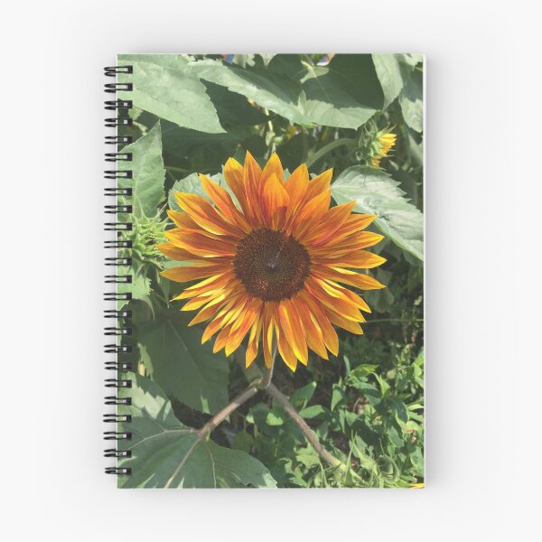 Item preview, Sun Flower Field designed and sold by Naomi Colon.