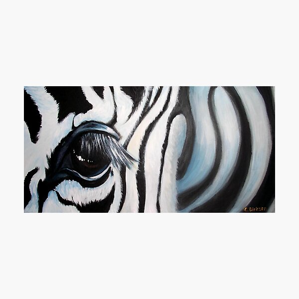 Zebra Photographic Print