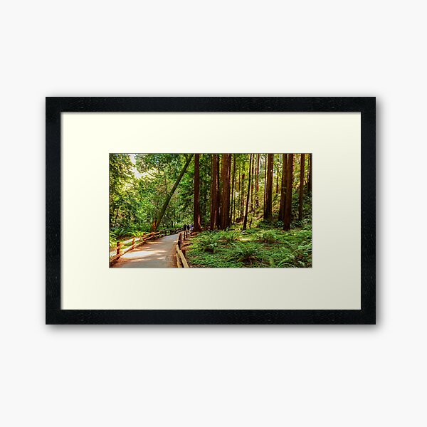 Item preview, Muir Woods National Monument, Mill Valley, California, USA designed and sold by rossacampbell.