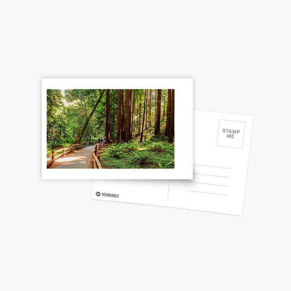 Item preview, Muir Woods National Monument, Mill Valley, California, USA designed and sold by rossacampbell.