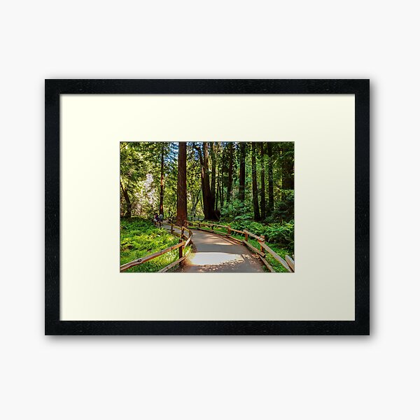 Item preview, Muir Woods National Monument, Mill Valley, California, USA designed and sold by rossacampbell.