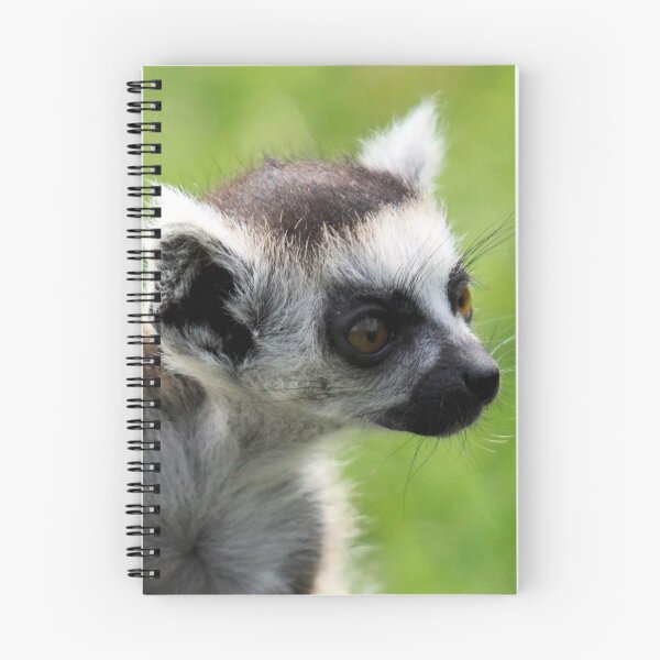 Item preview, Baby Lemur designed and sold by Jo Nijenhuis.