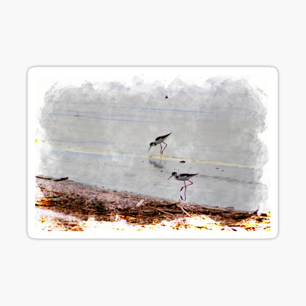 Black Neck Stilts at Salton Sea in Digital Watercolor Sticker