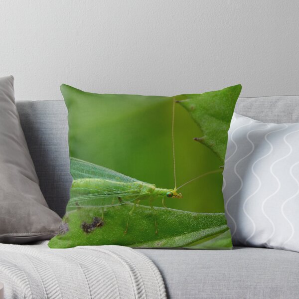Item preview, Green Lacewing designed and sold by relayer51.