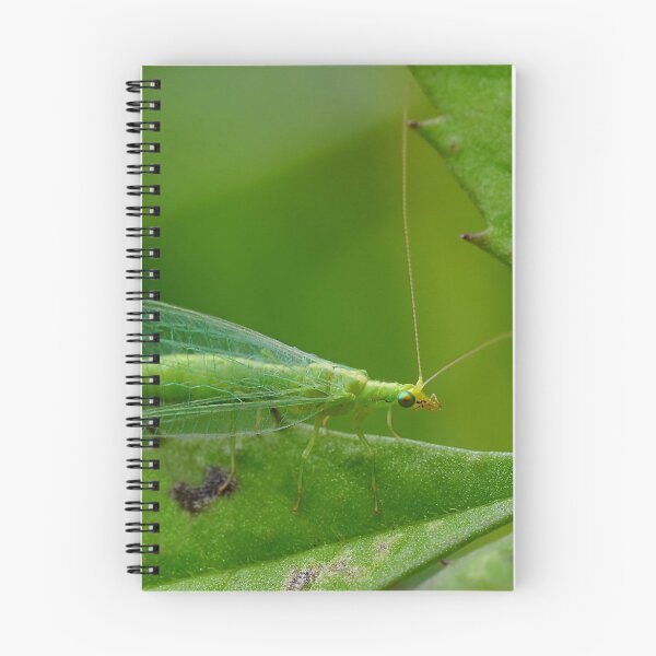 Item preview, Green Lacewing designed and sold by relayer51.