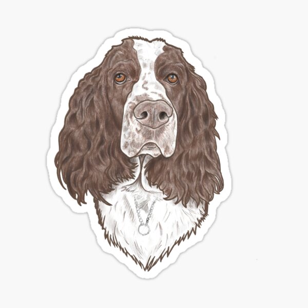 English springer spaniel Sticker