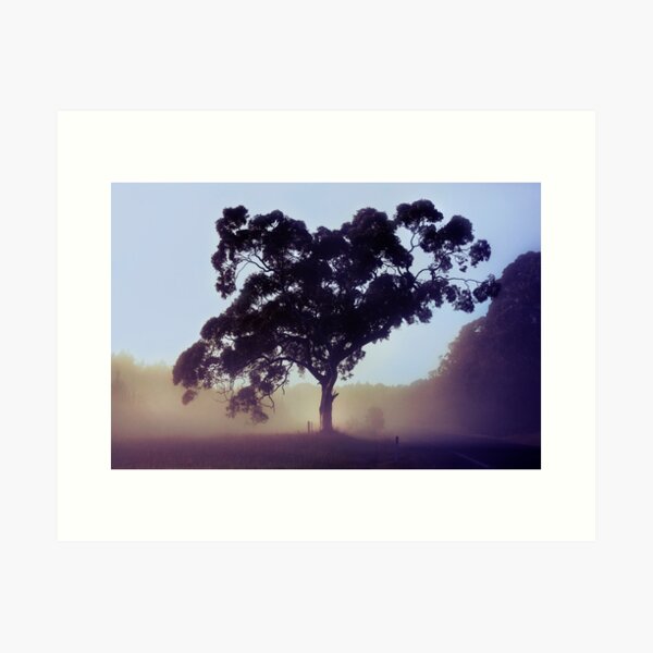 Item preview, Valley Fog designed and sold by Angie Muccillo.