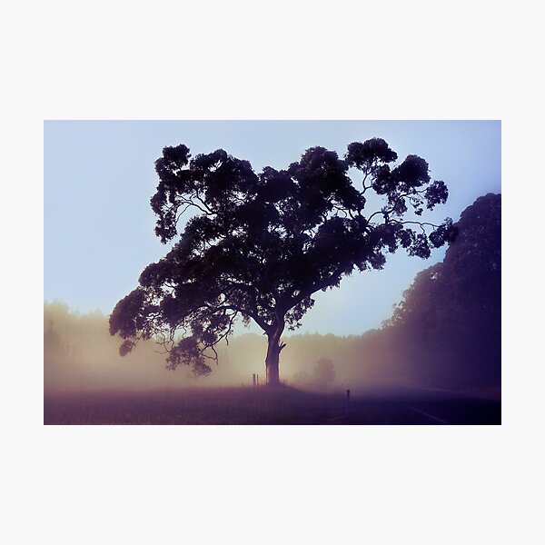 Item preview, Valley Fog designed and sold by Angie Muccillo.