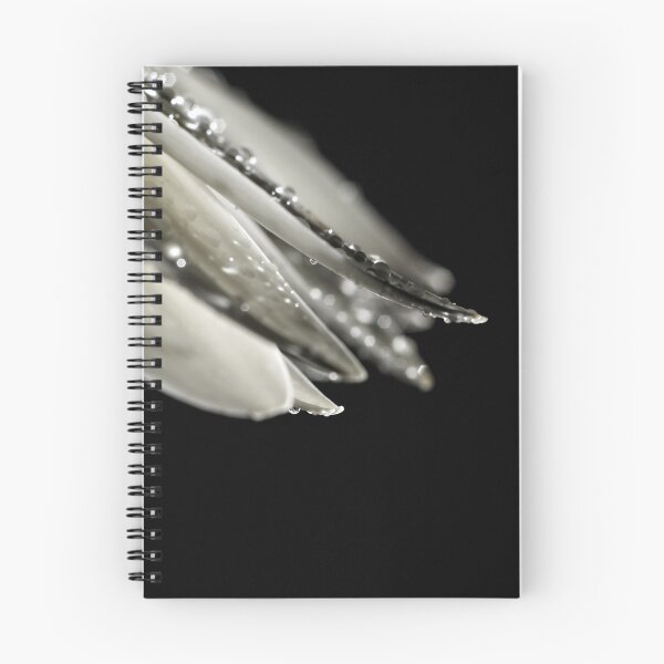 Item preview, Highlight designed and sold by inlightimagery.