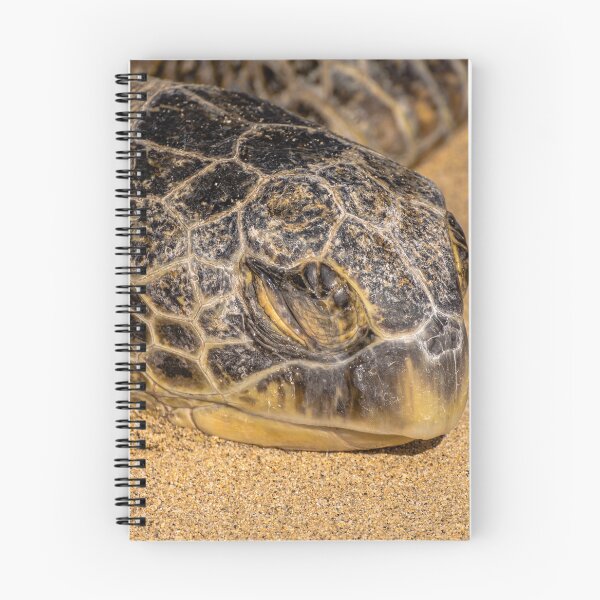 Item preview, Green Sea Turtle designed and sold by LilLizphoto.