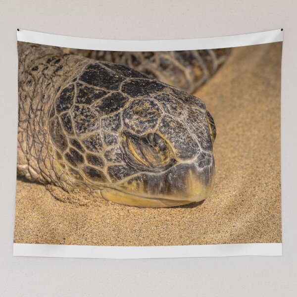 Item preview, Green Sea Turtle designed and sold by LilLizphoto.