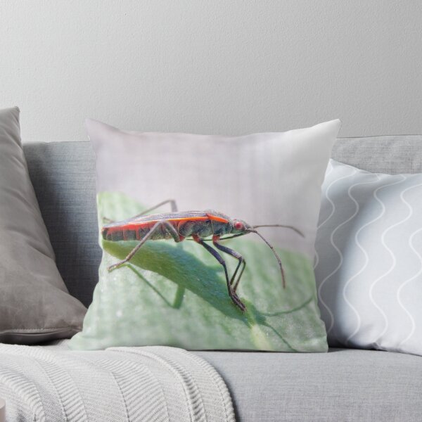 Item preview, Boxelder Bug designed and sold by dlamb.