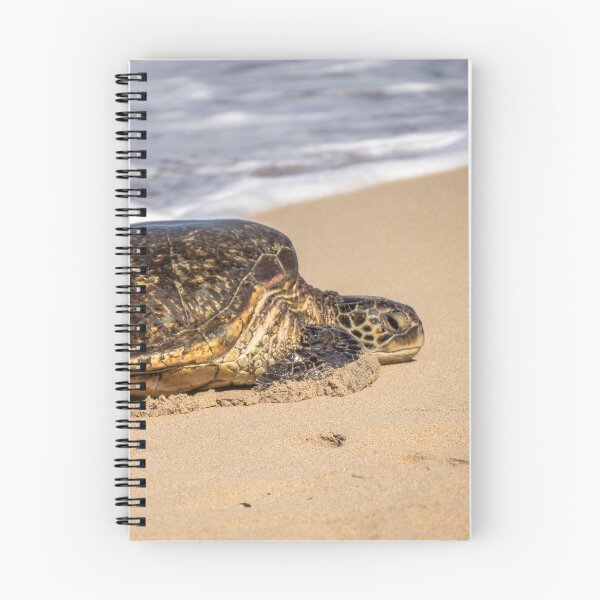 Item preview, Green Sea Turtle 2 designed and sold by LilLizphoto.