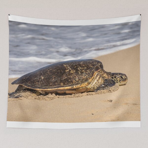Item preview, Green Sea Turtle 2 designed and sold by LilLizphoto.