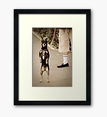 OnePhotoPerDay Series: 187 by L. Framed Print