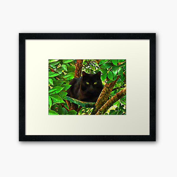 Watching From Above Framed Art Print