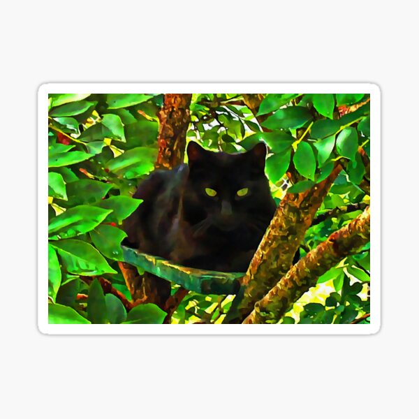 Watching From Above Sticker