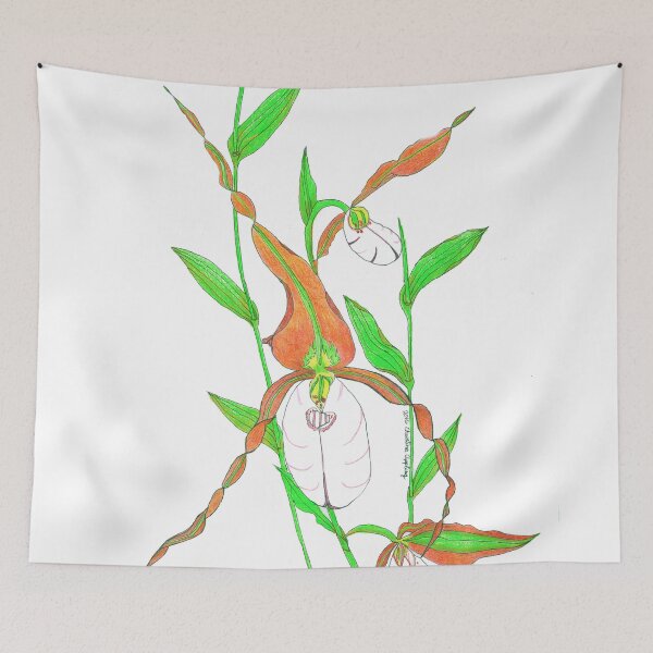 Item preview, Botanical plant art Mountain Lady Slipper Orchid Drawing  designed and sold by LCAppling.