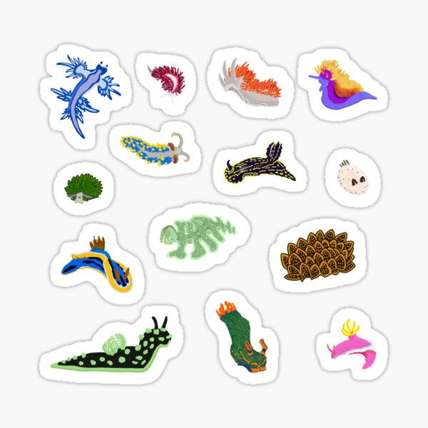 World of Nudibranchs Sticker