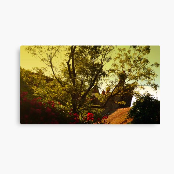Boissy Canvas Print