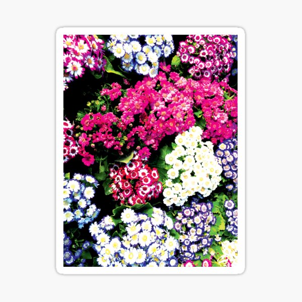 Colors Blend Into One by Jerald Simon (Music Motivation - musicmotivation.com). Sticker