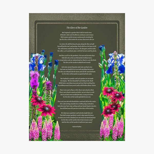 The Glory Of The Garden Photographic Print