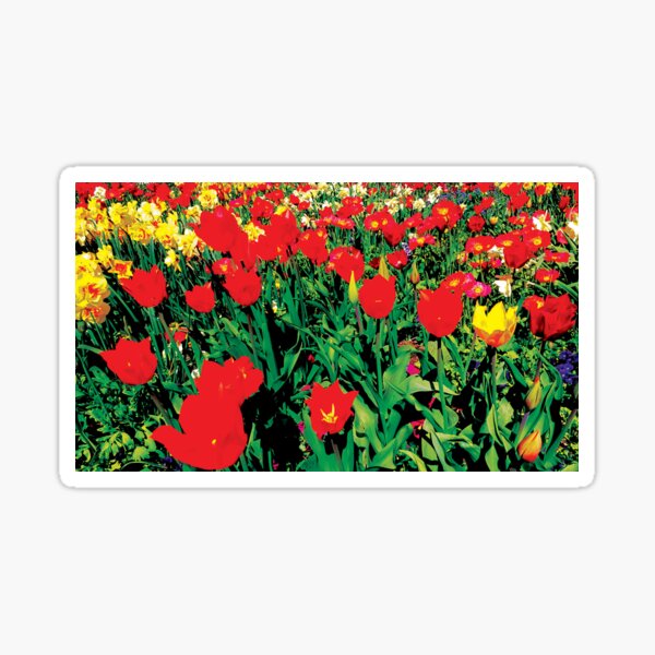 Sea of Tulips by Jerald Simon (Music Motivation - musicmotivation.com) Sticker