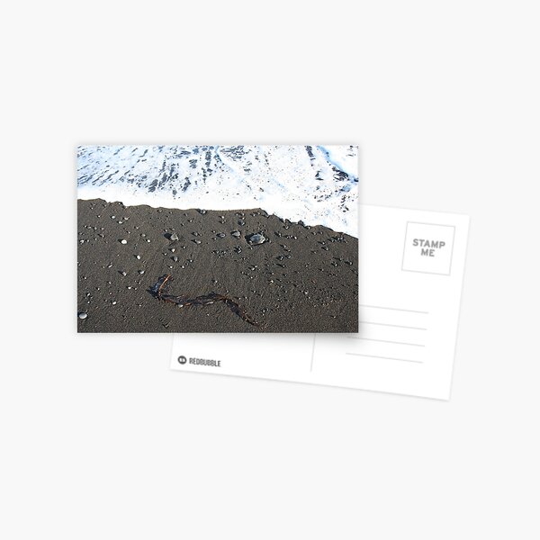 Black on Black Postcard