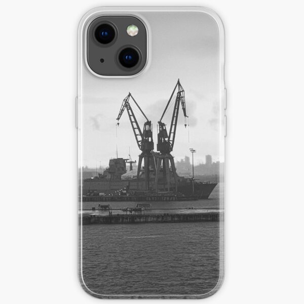 Cranes in the morning iPhone Soft Case