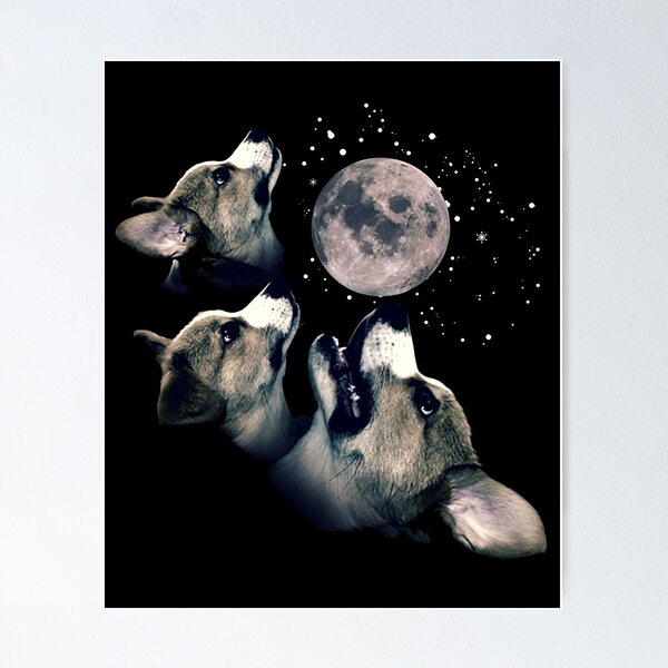 Three Corgi Moon  Poster