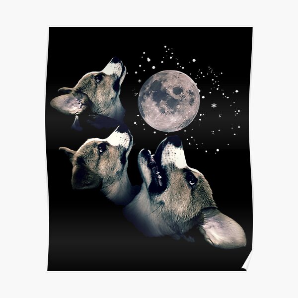Three Corgi Moon  Poster