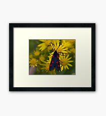 Warning, do not eat! Framed Print