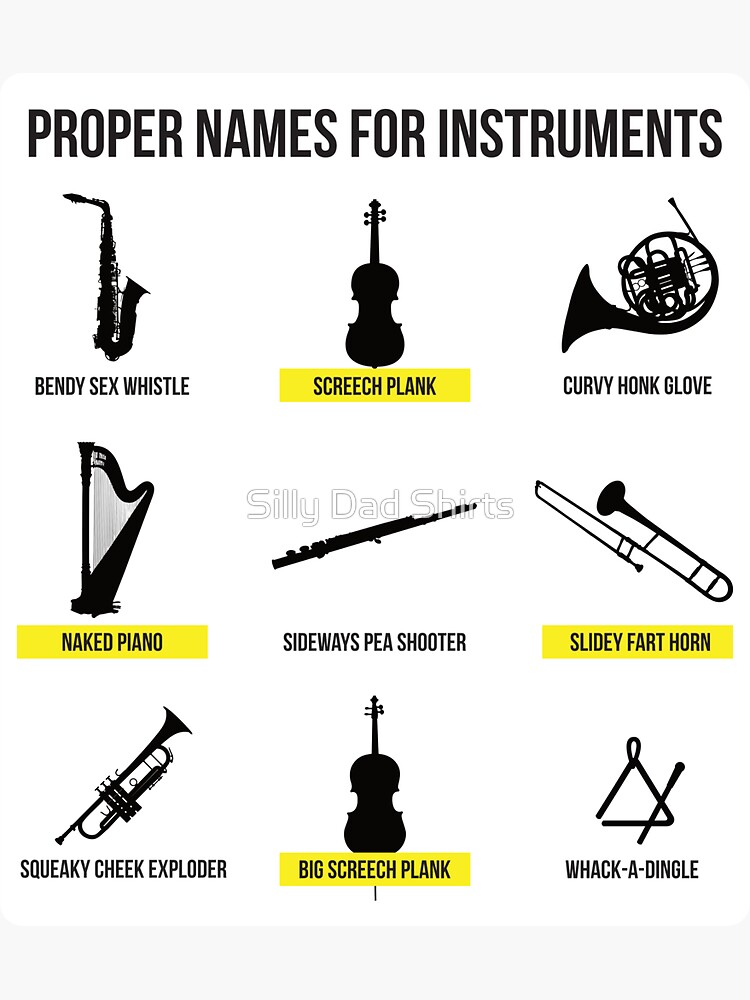"Proper Names for Musical Instruments Funny Musician Gift" Sticker by