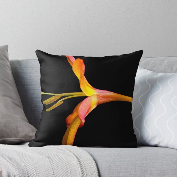 Item preview, Montbretia macro  designed and sold by Barna   Tanko.