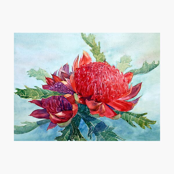 Item preview, Red Waratah designed and sold by Joe Cartwright.