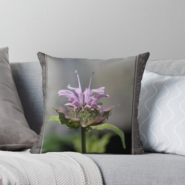Item preview, Bee Balm named Panorama Lavender designed and sold by JMcCombie.