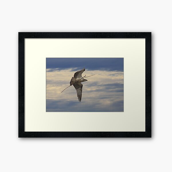 Chop Wood, Carry Water 2! Framed Art Print