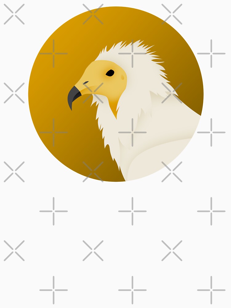 Egyptian Vulture by DeguArts