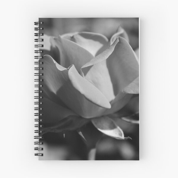 Item preview, Black and white Rose designed and sold by ValueEveryThing.