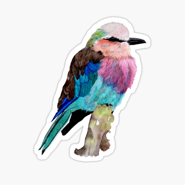 Lilac Breasted Roller Bird Sticker