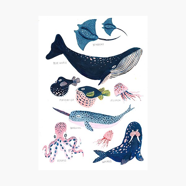 Fish Wall Art Print Seahorse Shark Stingray Lamprey Eel Beach