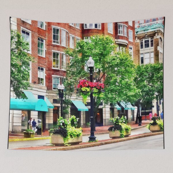 Item preview, Boston MA - Shops Along Boyleston Street designed and sold by Susan Savad.