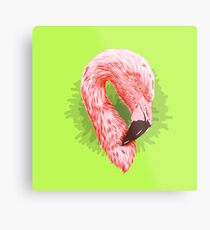 Flamingo Metal Print