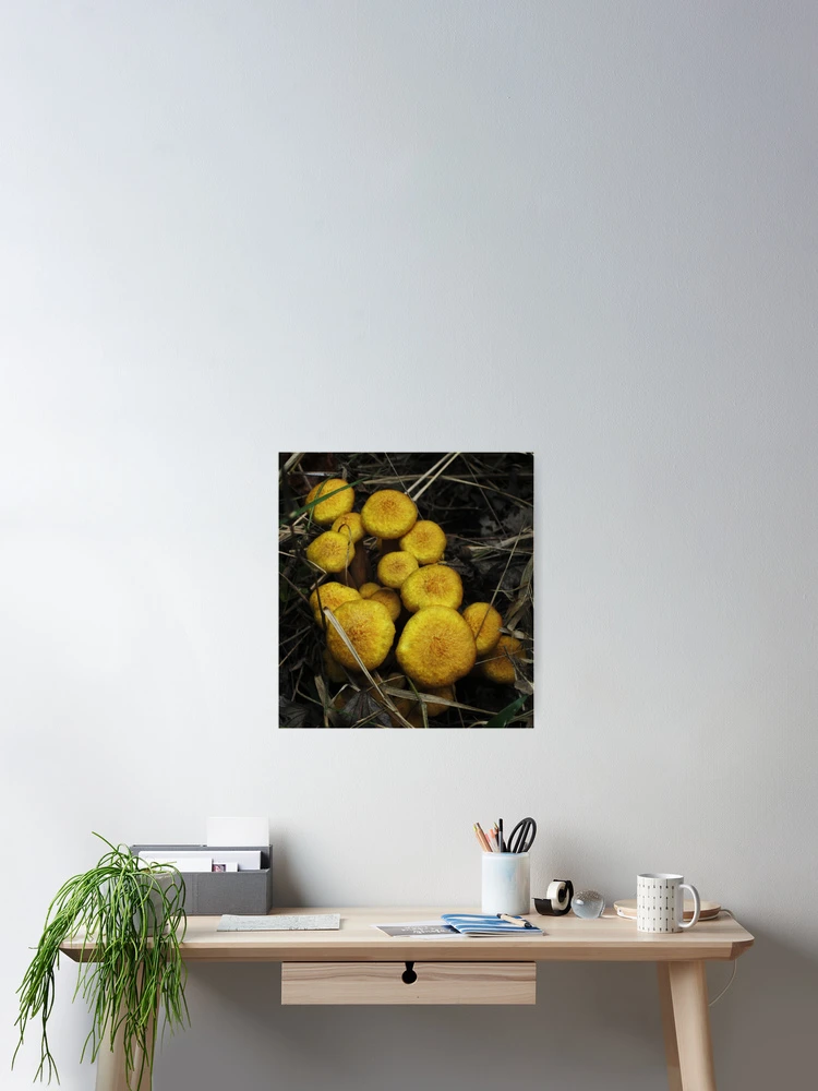 Thumbnail 2 of 3, Poster, Yellow Buttons designed and sold by RVogler.