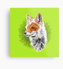 Fox Metal Print