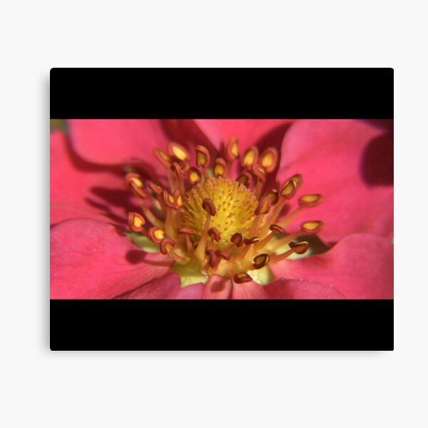 The Meeting Canvas Print