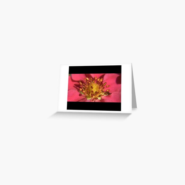 The Meeting Greeting Card