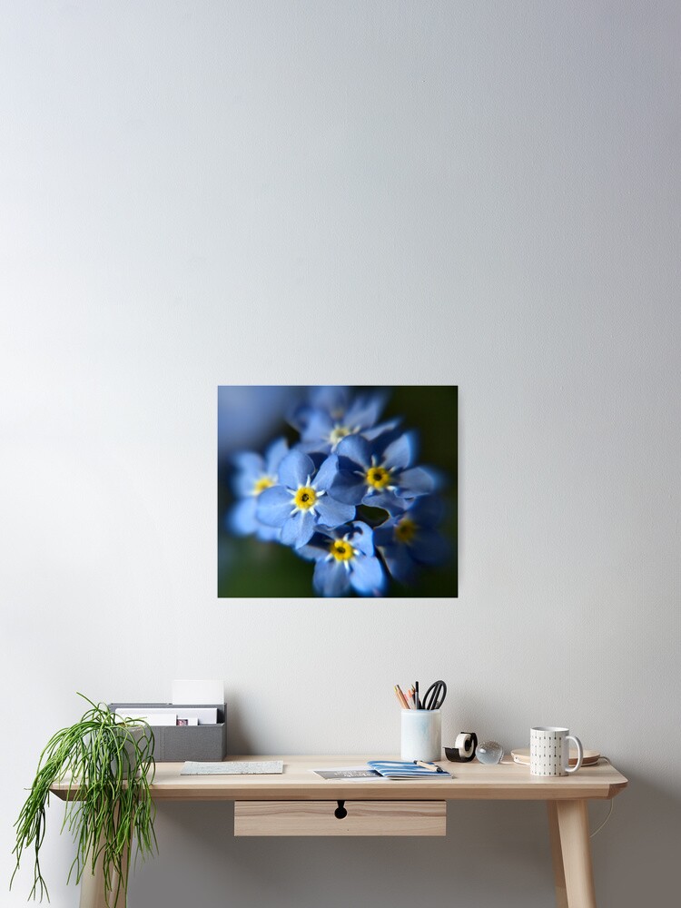 Thumbnail 1 of 3, Poster, Forget-Me-Not designed and sold by Paul Eden.